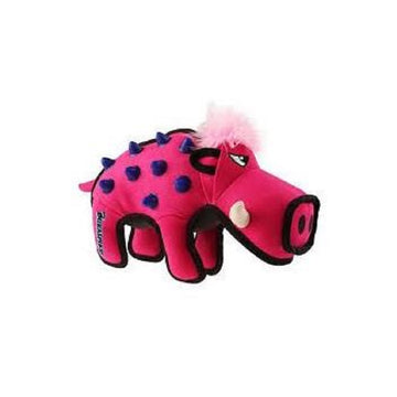 Petsleisure Dog Toys